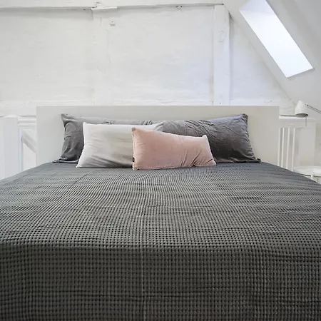 דירה Super Central Apt W Loft קופנהגן