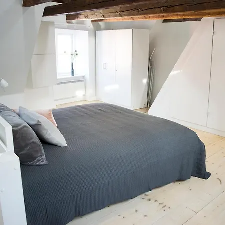 Super Central Apt W Loft * קופנהגן